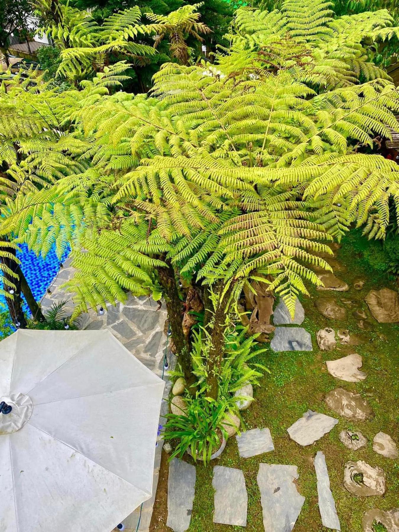 Love House Homestay Sapa Εξωτερικό φωτογραφία